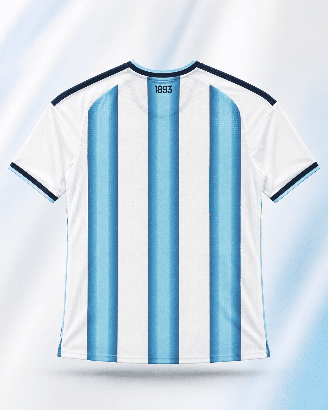 CAMISETA ARGENTINA VERSION JUGADOR 2026